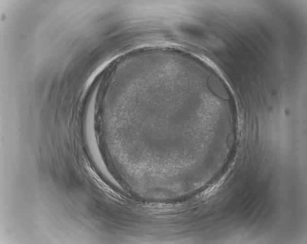 X0000056320783200509092301