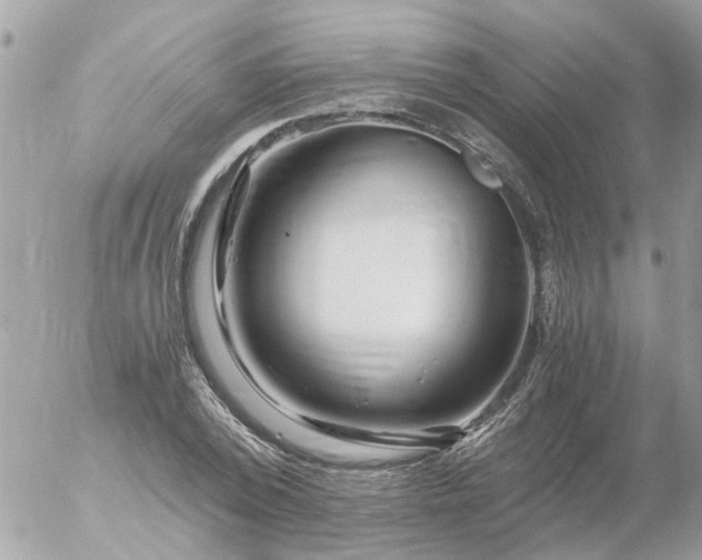 X0000056320784200509092301