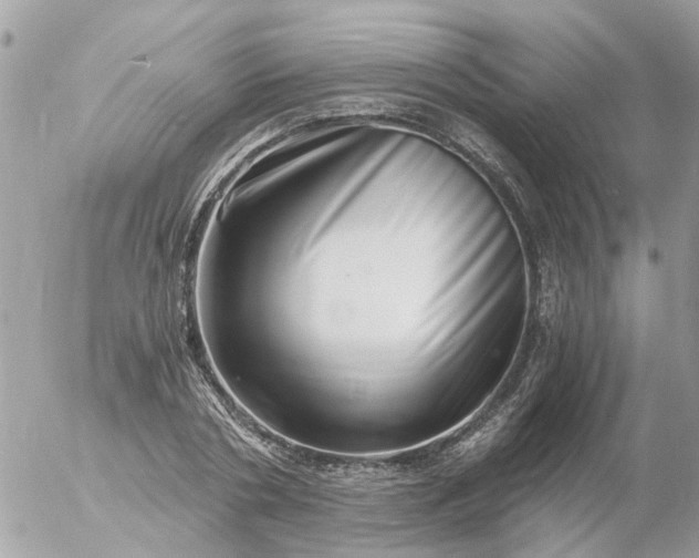 X0000056320786200509092301