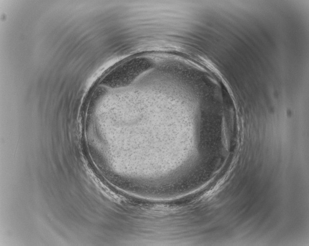 X0000056320787200509092301