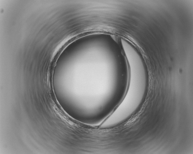 X0000056320788200509092301