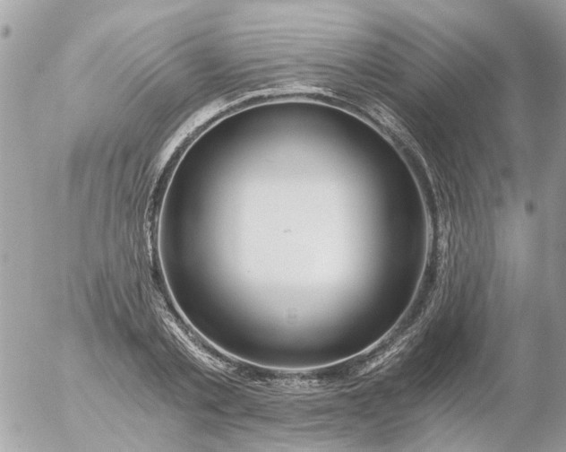 X0000056320789200509092301