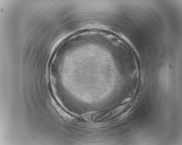 X0000056320791200509092301