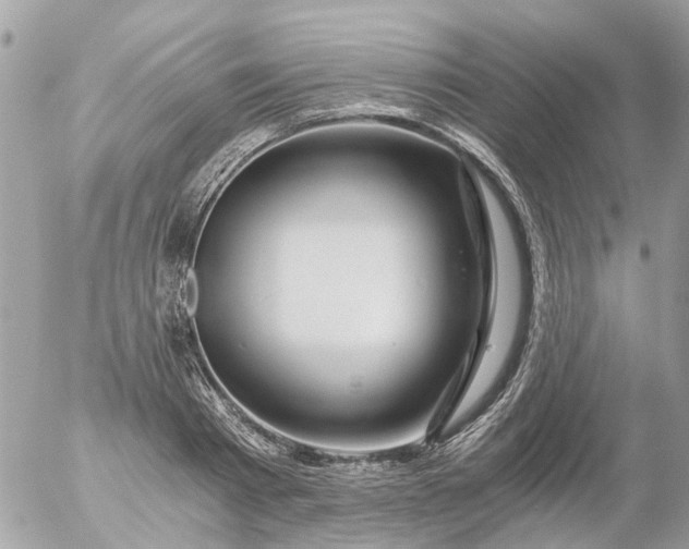 X0000056320793200509092301