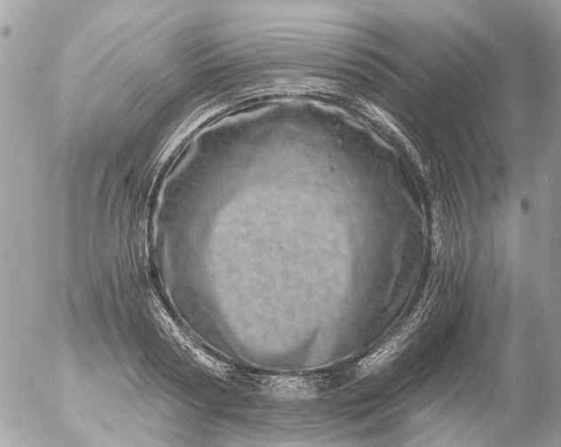 X0000056320794200509092301