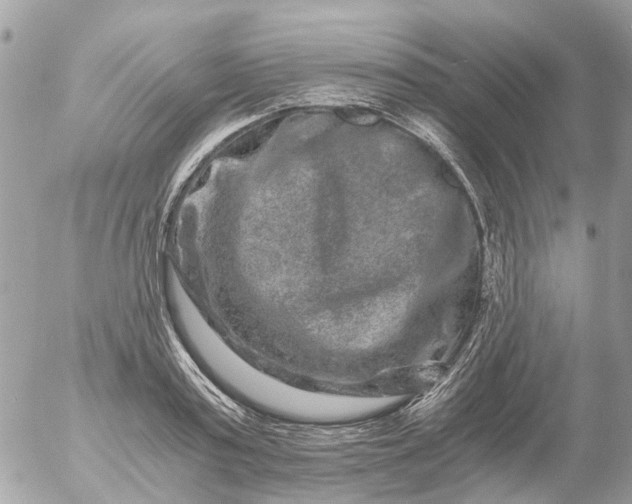 X0000056320795200509092301