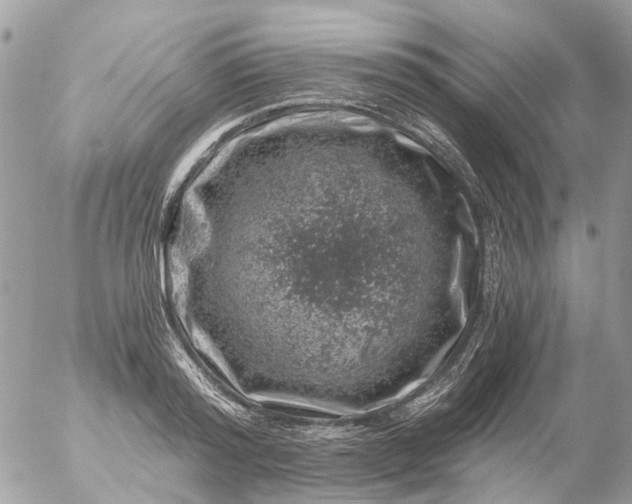 X0000056320796200509092301