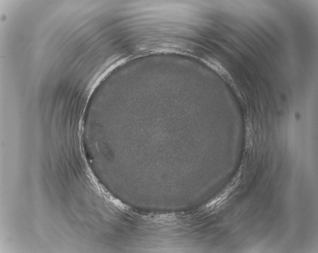 X0000056320798200509092301