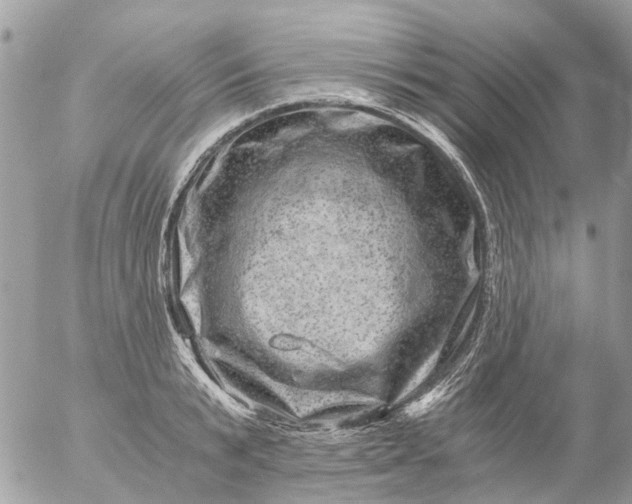 X0000056320799200509092301