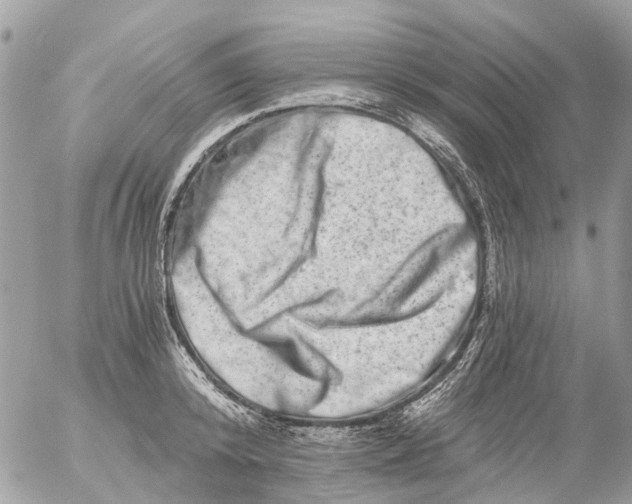 X0000056320800200509092301