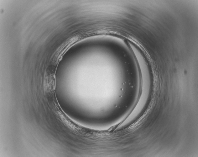 X0000056320801200509092301