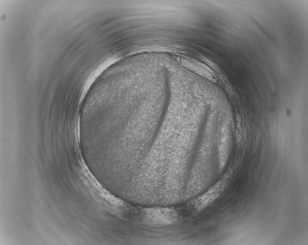 X0000056320804200509092301