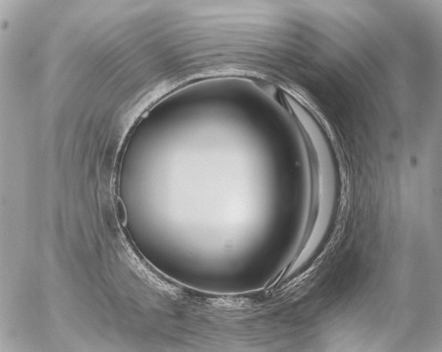 X0000056320805200509092301