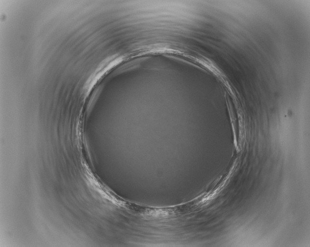 X0000056320806200509092301