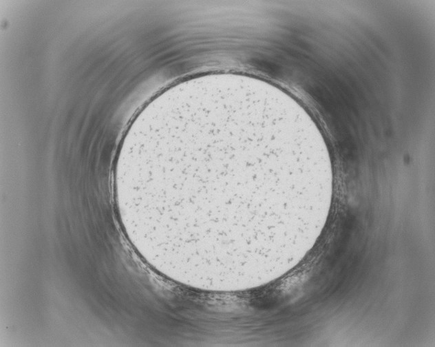 X0000056320807200509092301