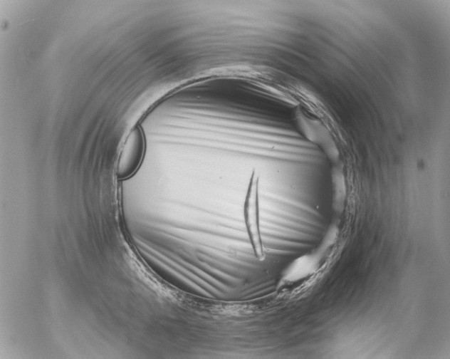 X0000056320808200509092301