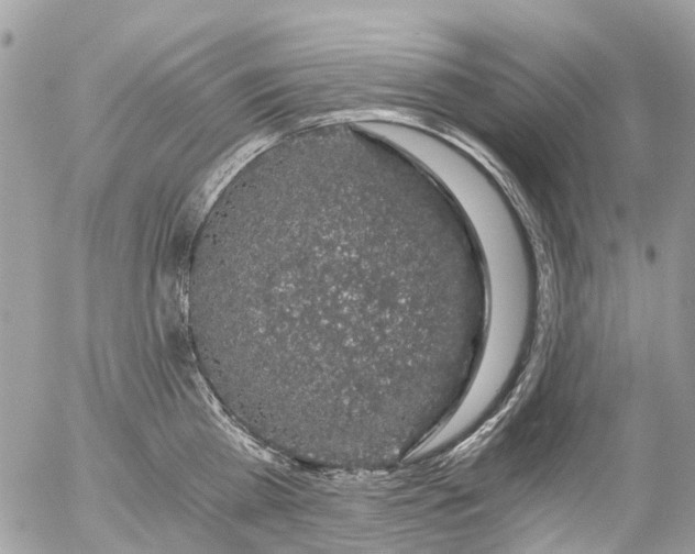 X0000056320809200509092301