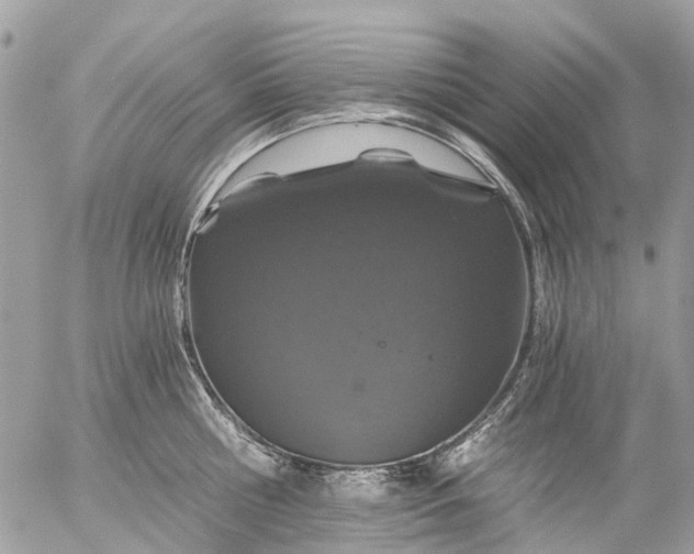 X0000056320810200509092301