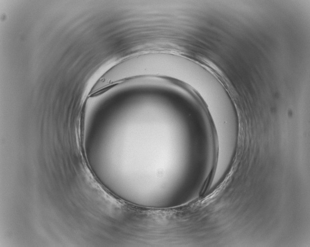 X0000056320812200509092301