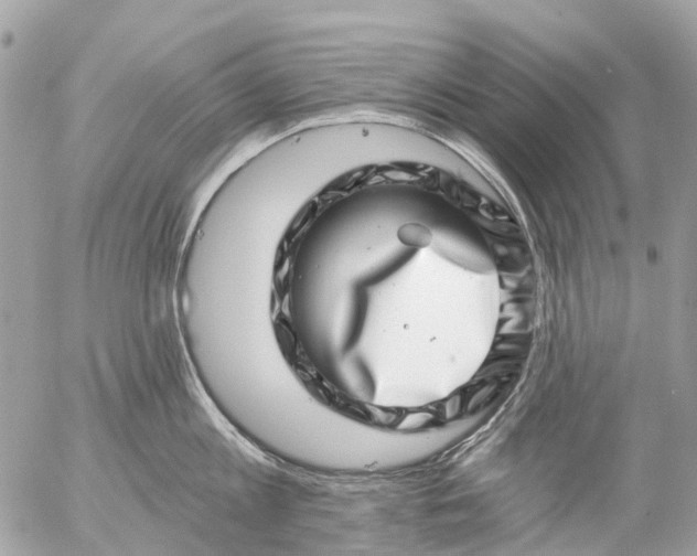 X0000056320813200509092301