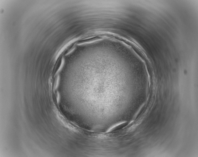 X0000056320814200509092301