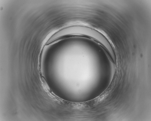 X0000056320815200509092301