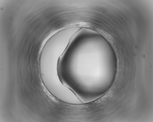 X0000056320816200509092301