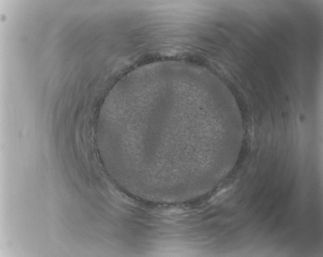 X0000056320817200509092300