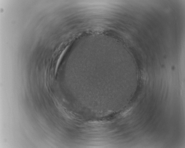 X0000056320818200509092300