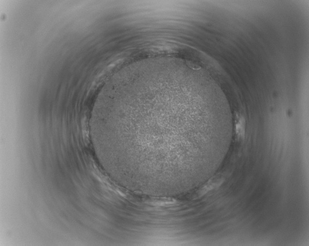 X0000056320819200509092300