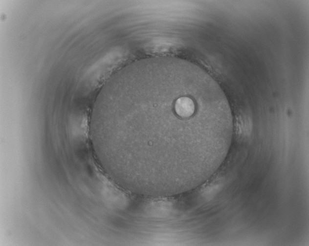 X0000056320820200509092300