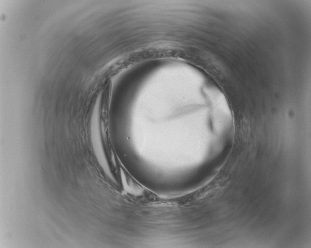 X0000056320821200509092300