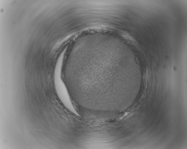 X0000056320822200509092300