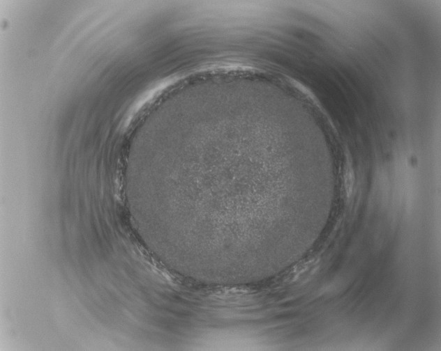 X0000056320823200509092300