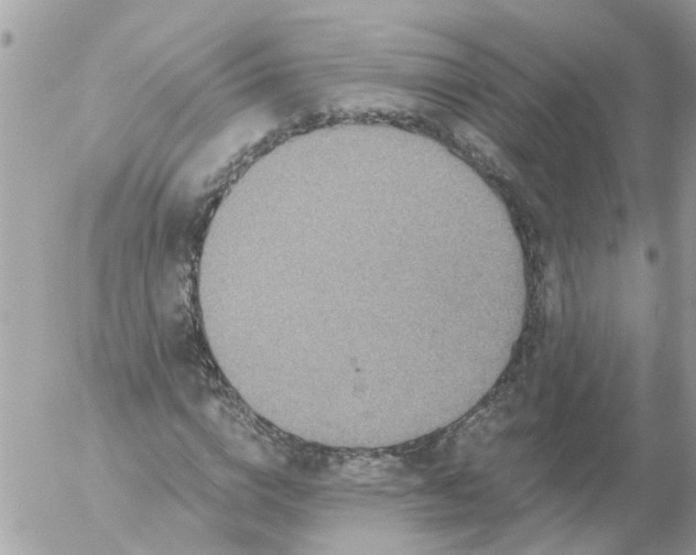 X0000056320824200509092300