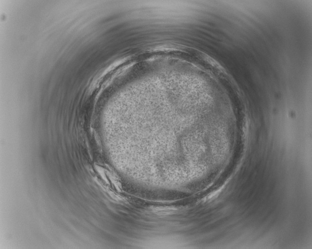 X0000056320825200509092300