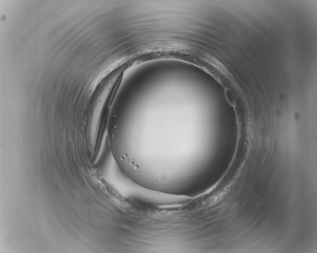 X0000056320826200509092300