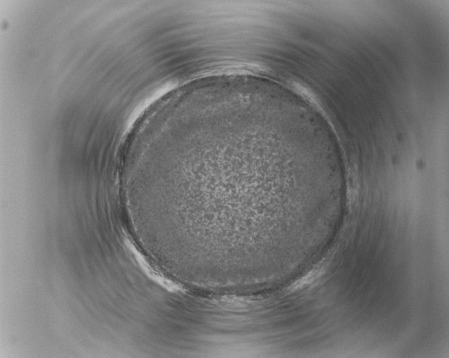 X0000056320827200509092300