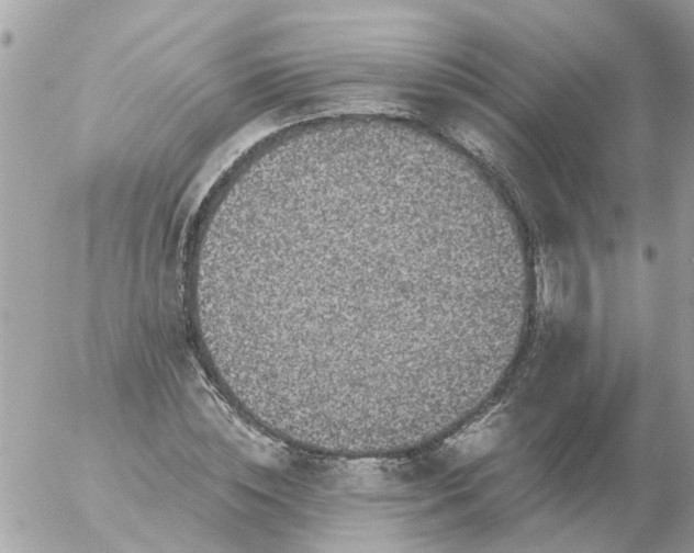 X0000056320828200509092300