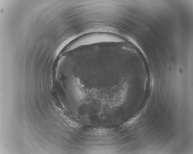 X0000056320829200509092300