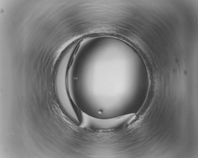 X0000056320830200509092300