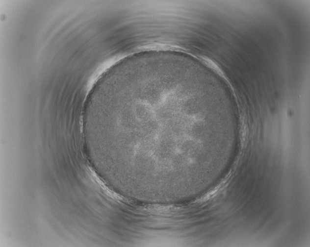 X0000056320831200509092300