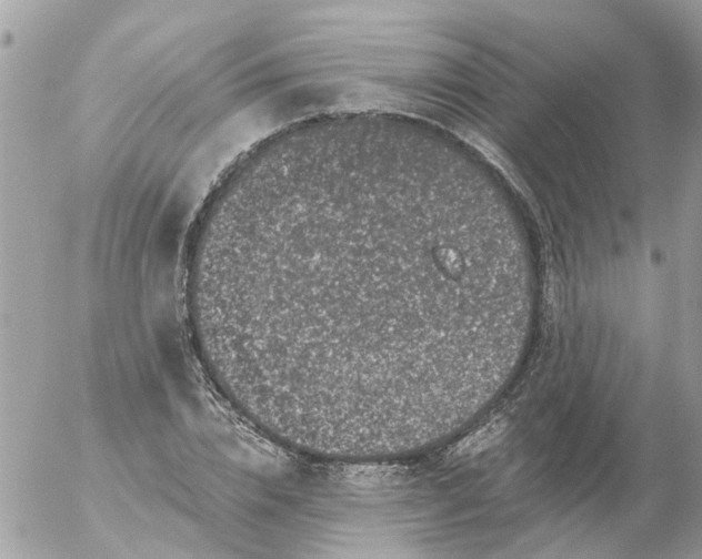 X0000056320832200509092300