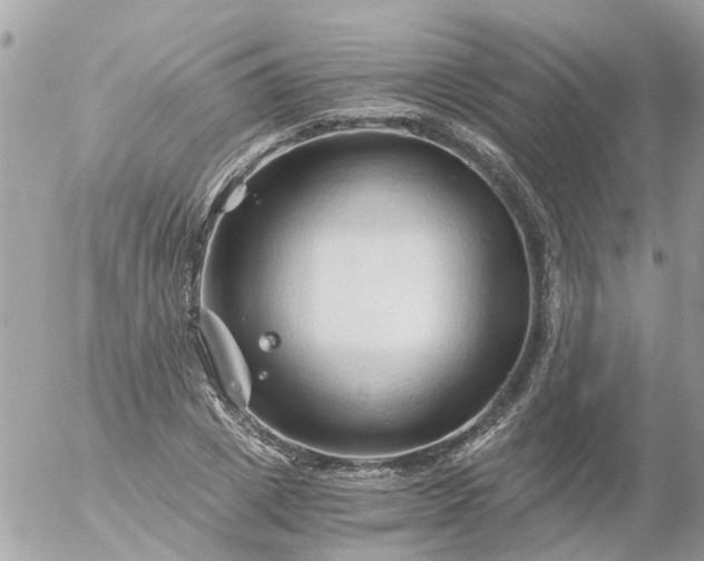 X0000056320833200509092300