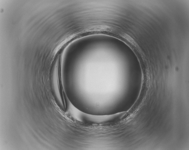 X0000056320834200509092300