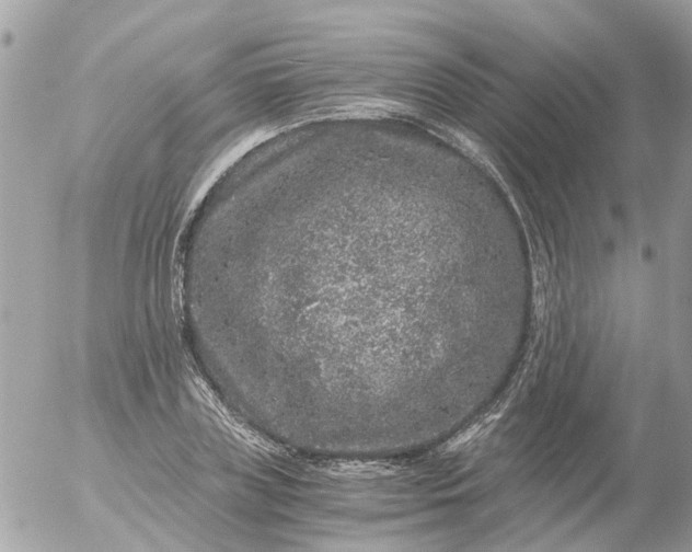 X0000056320835200509092300