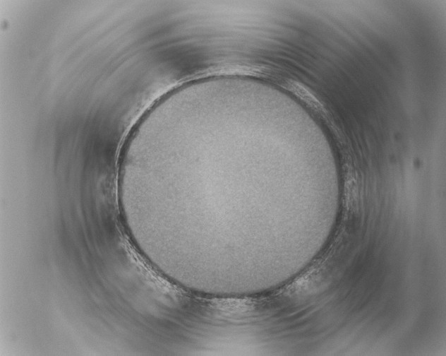 X0000056320836200509092300