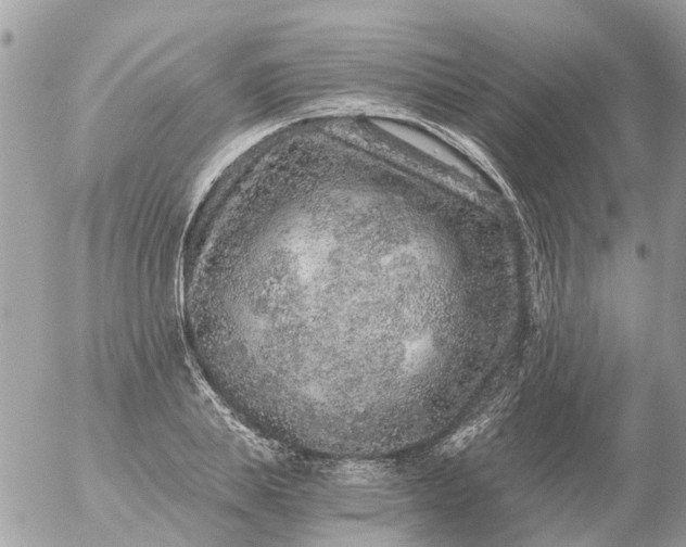 X0000056320839200509092300