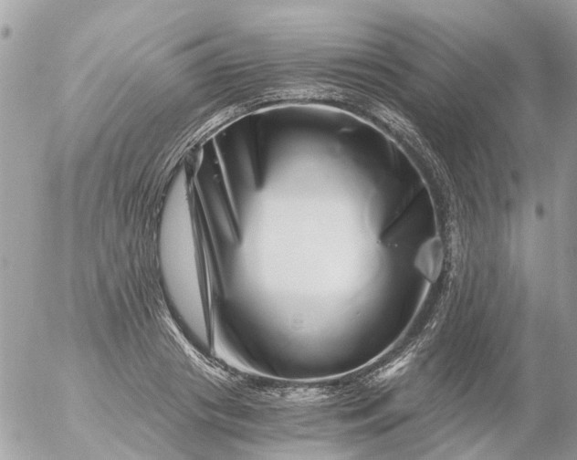 X0000056320841200509092300