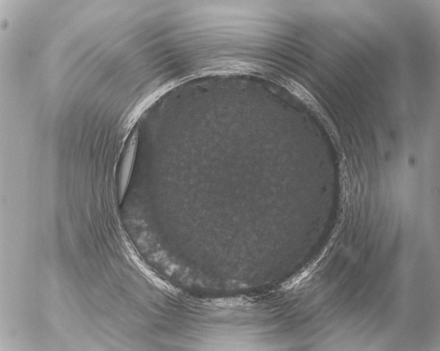 X0000056320842200509092300